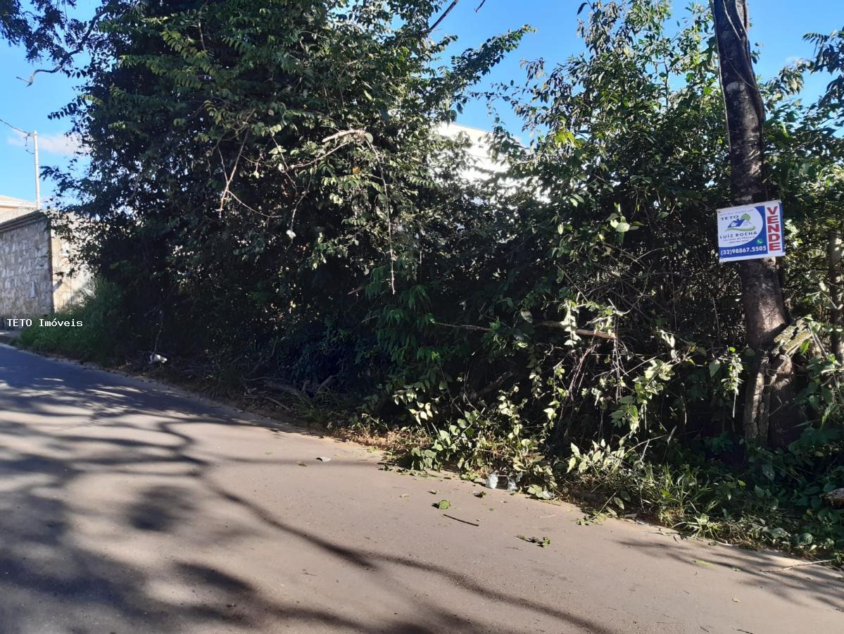 Terreno, 300 m² - Foto 7