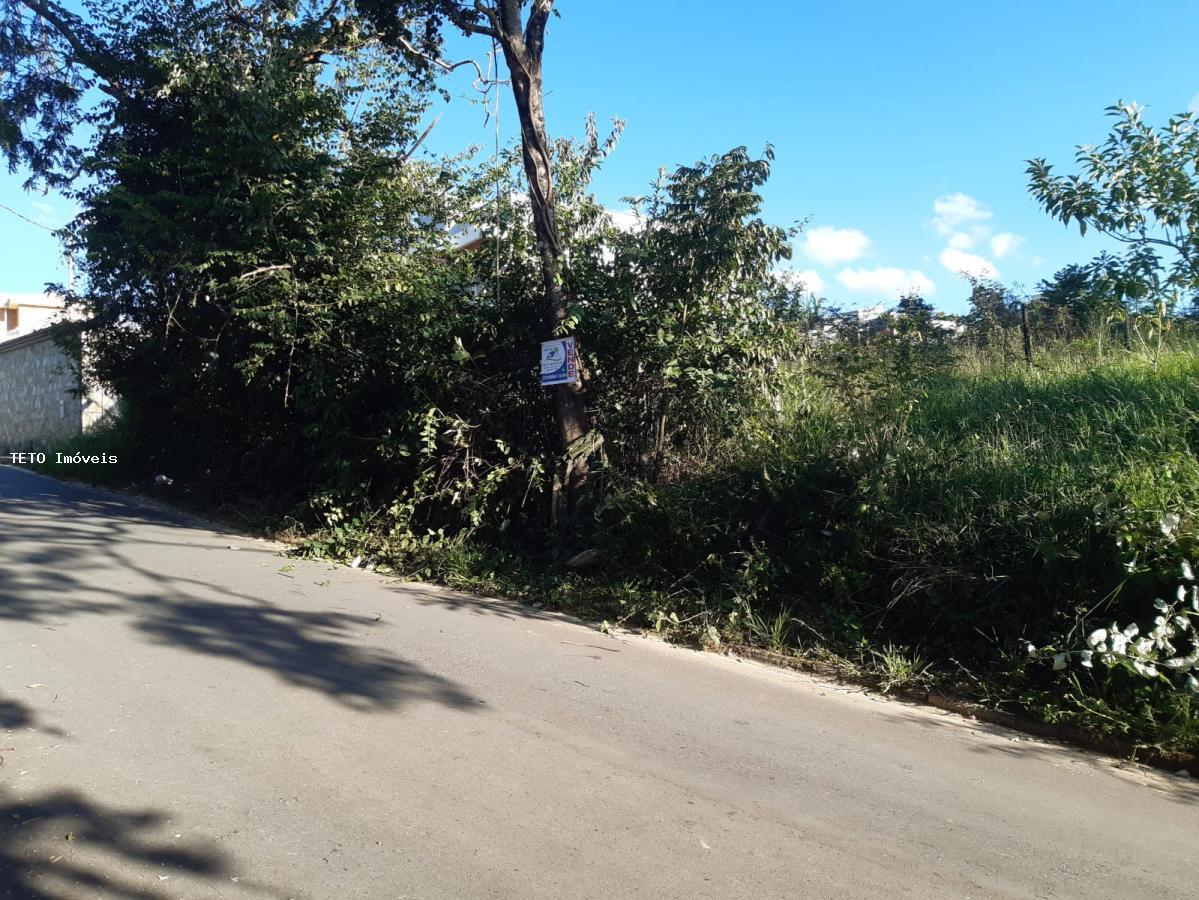 Terreno, 300 m² - Foto 8