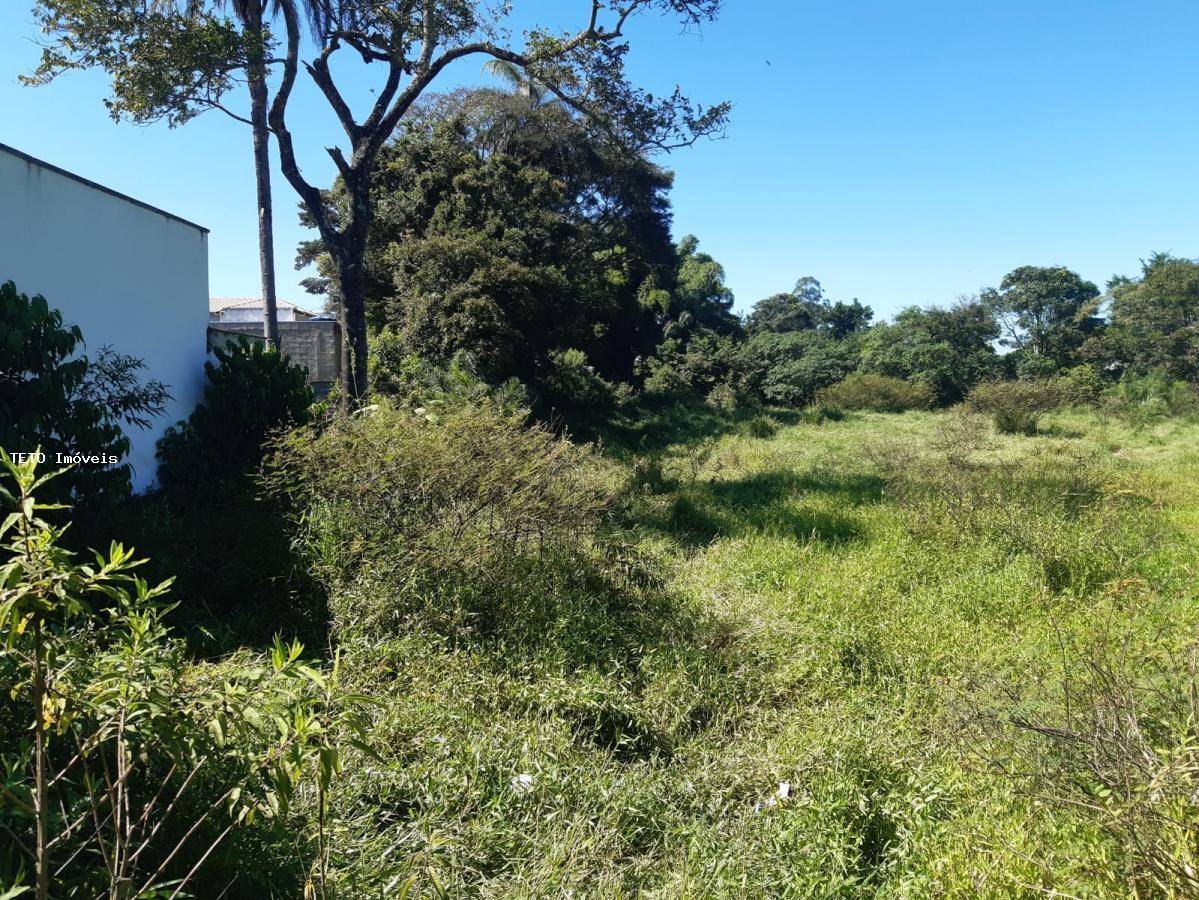 Terreno, 5000 m² - Foto 2