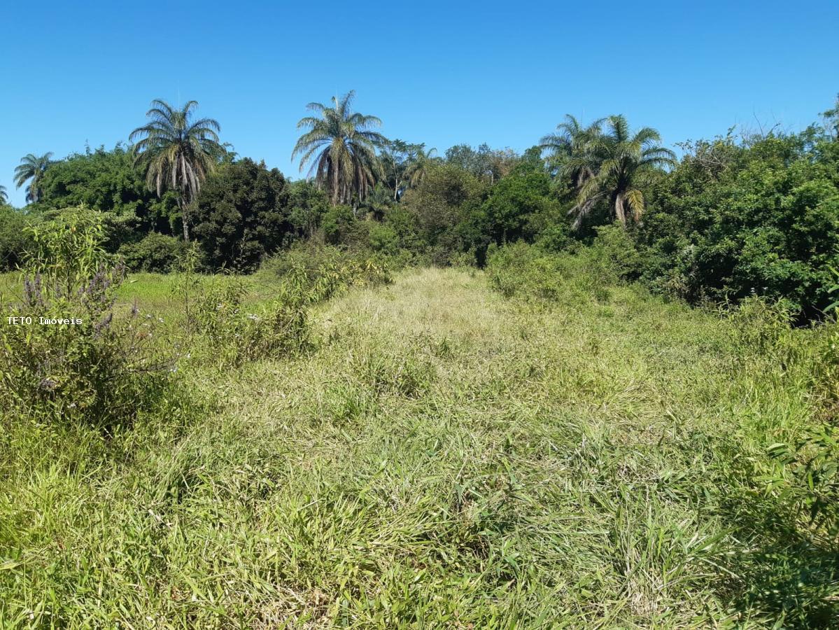 Terreno, 5000 m² - Foto 4