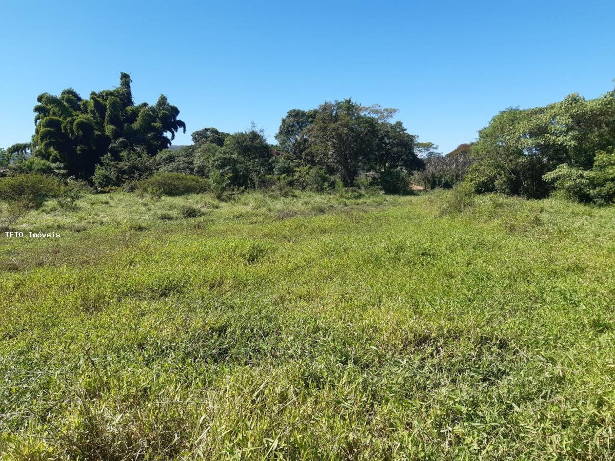 Terreno, 5000 m² - Foto 5