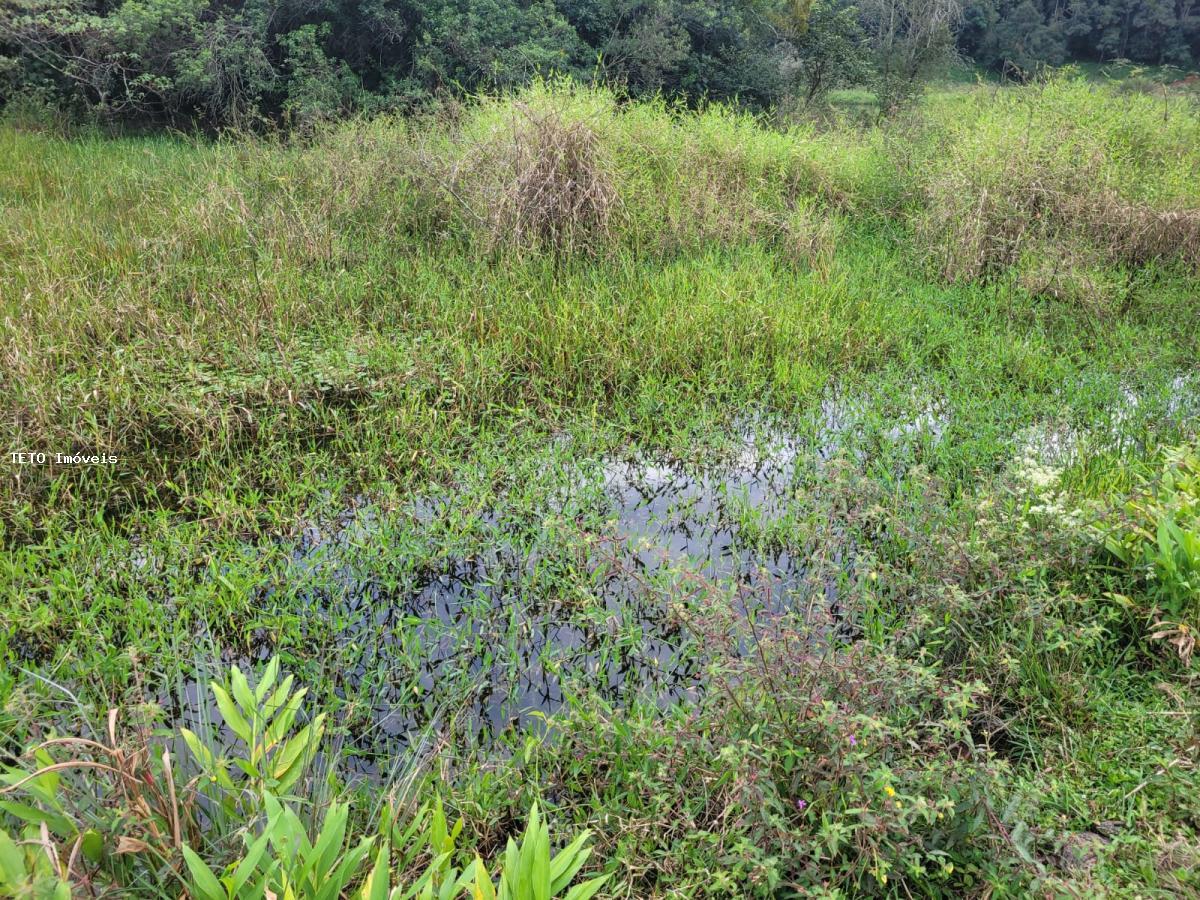 Loteamento e Condomínio, 4 m² - Foto 8