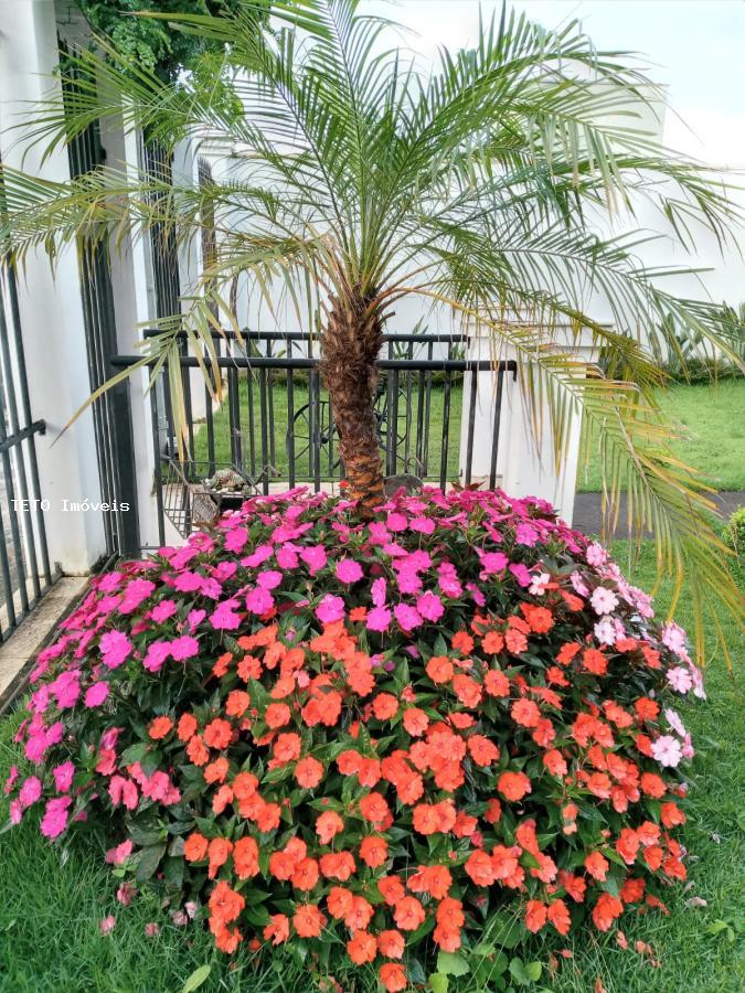 Casa, 3 quartos - Foto 15