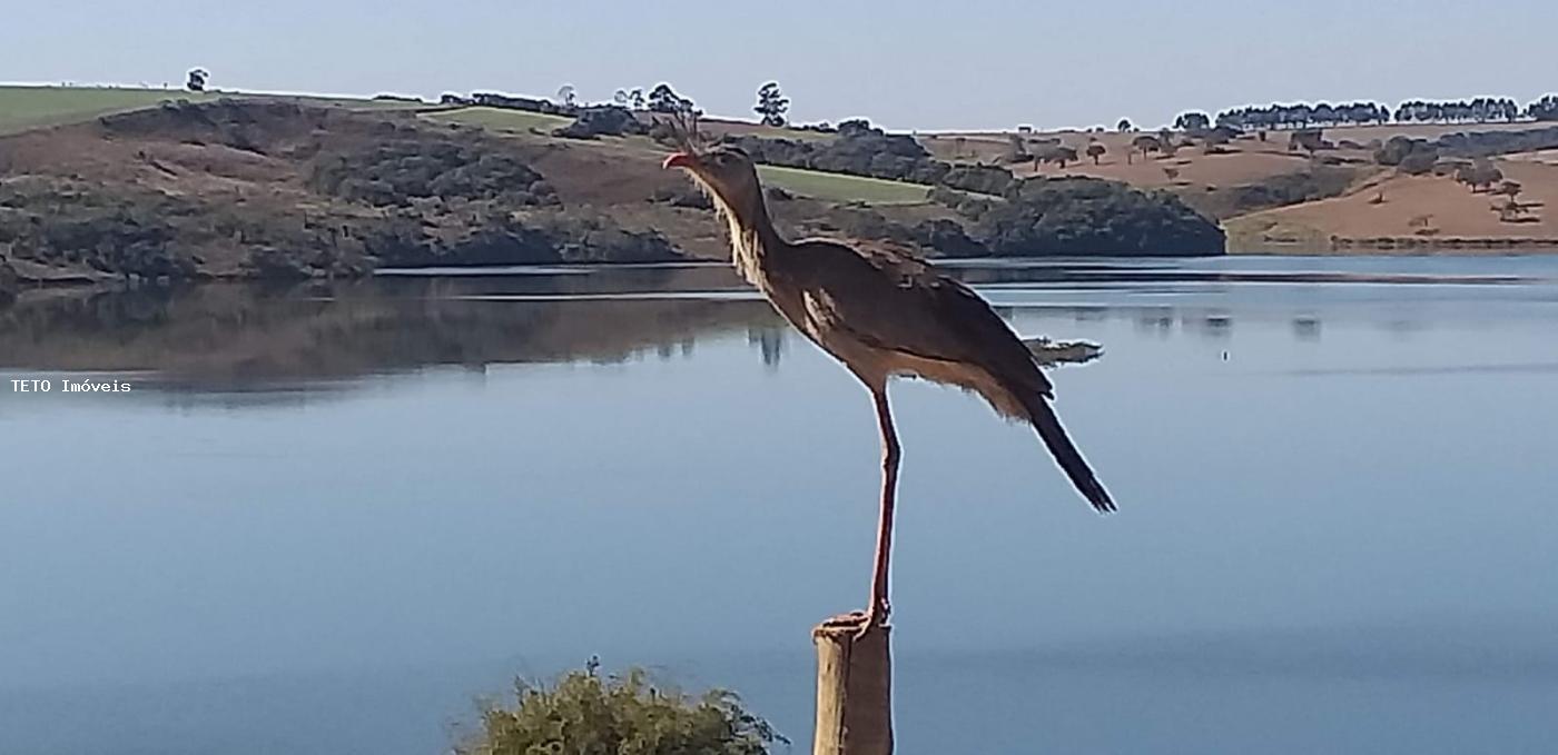 Chácara, 2 quartos, 360 m² - Foto 13