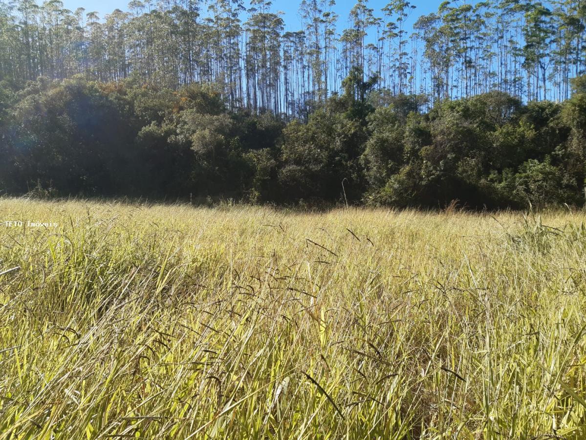 Fazenda, 192 m² - Foto 6