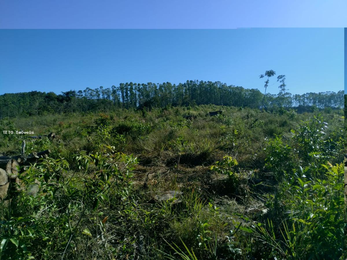 Fazenda, 192 m² - Foto 9