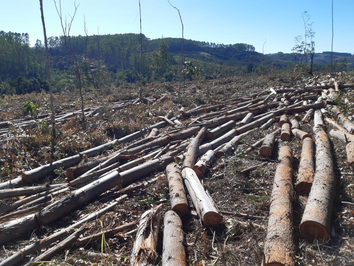 Fazenda, 192 m² - Foto 28