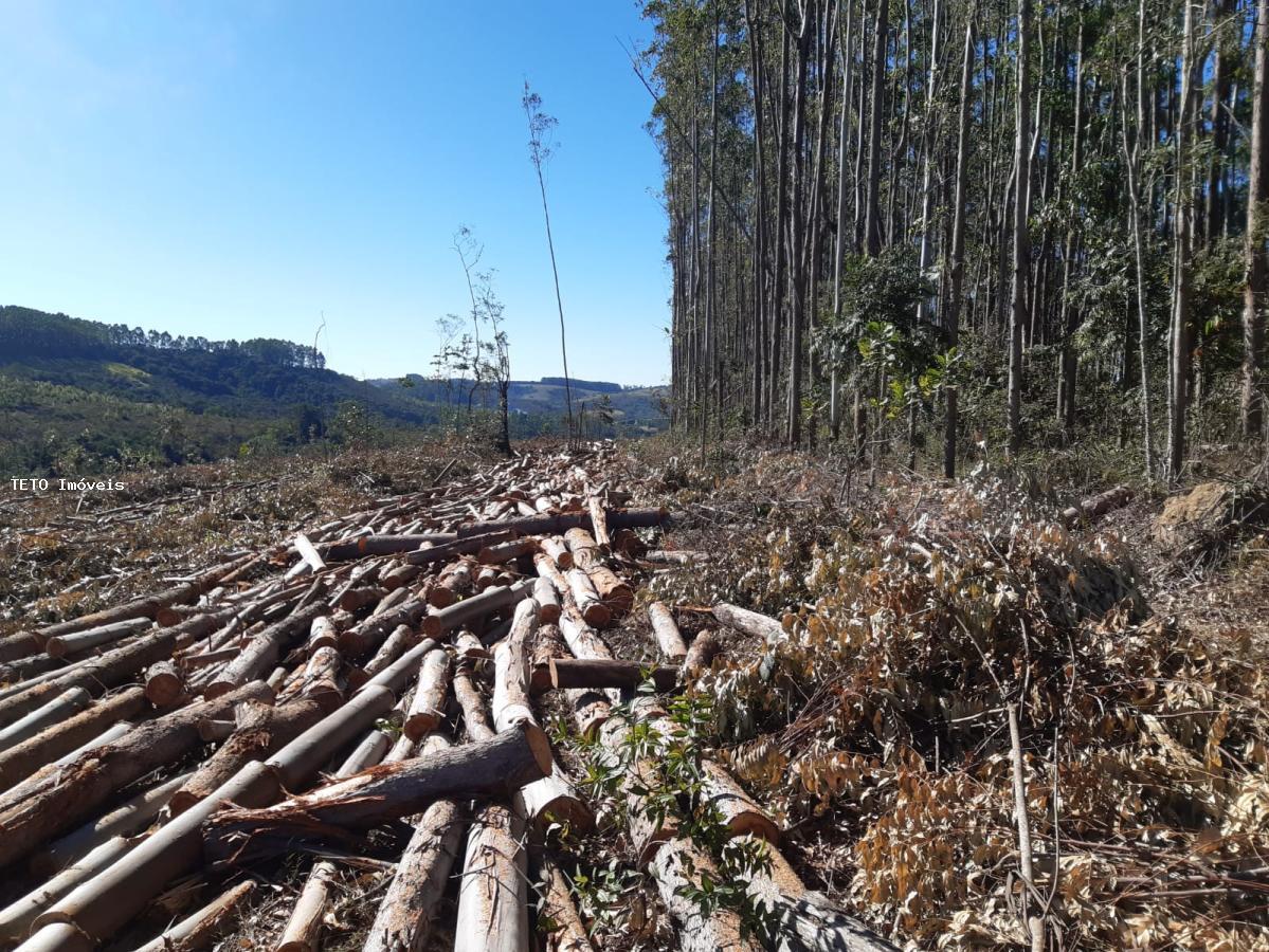 Fazenda, 192 m² - Foto 32