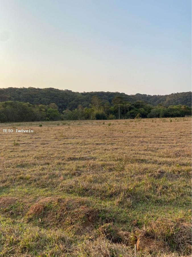 Terreno, 2303 m² - Foto 11