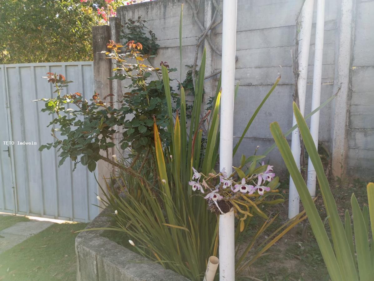 Sítio, 5 quartos, 4800 m² - Foto 37