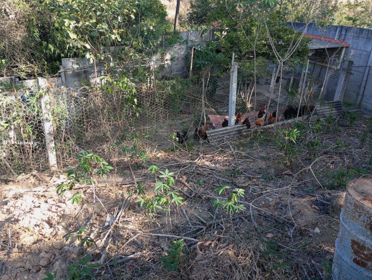 Sítio, 5 quartos, 4800 m² - Foto 38