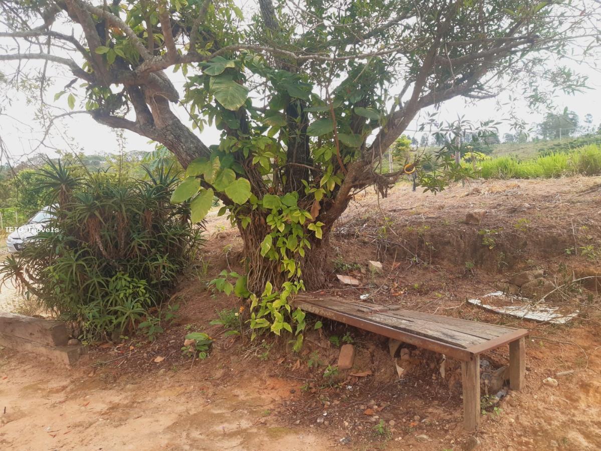 Sítio, 3 quartos, 2579 m² - Foto 3