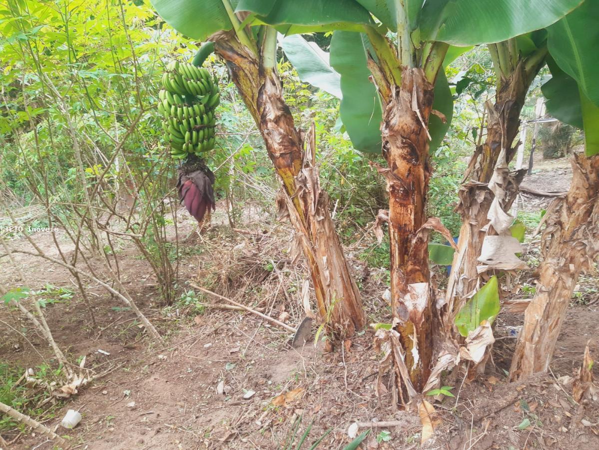 Sítio, 3 quartos, 2579 m² - Foto 5