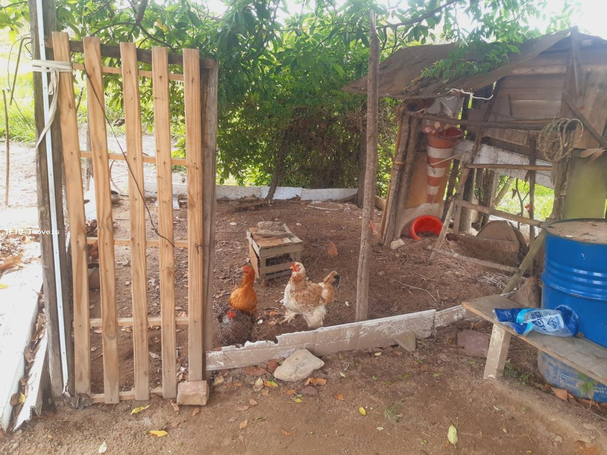 Sítio, 3 quartos, 2579 m² - Foto 6