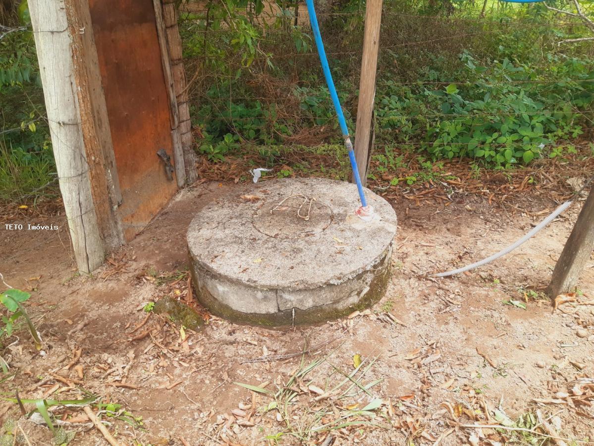 Sítio, 3 quartos, 2579 m² - Foto 7