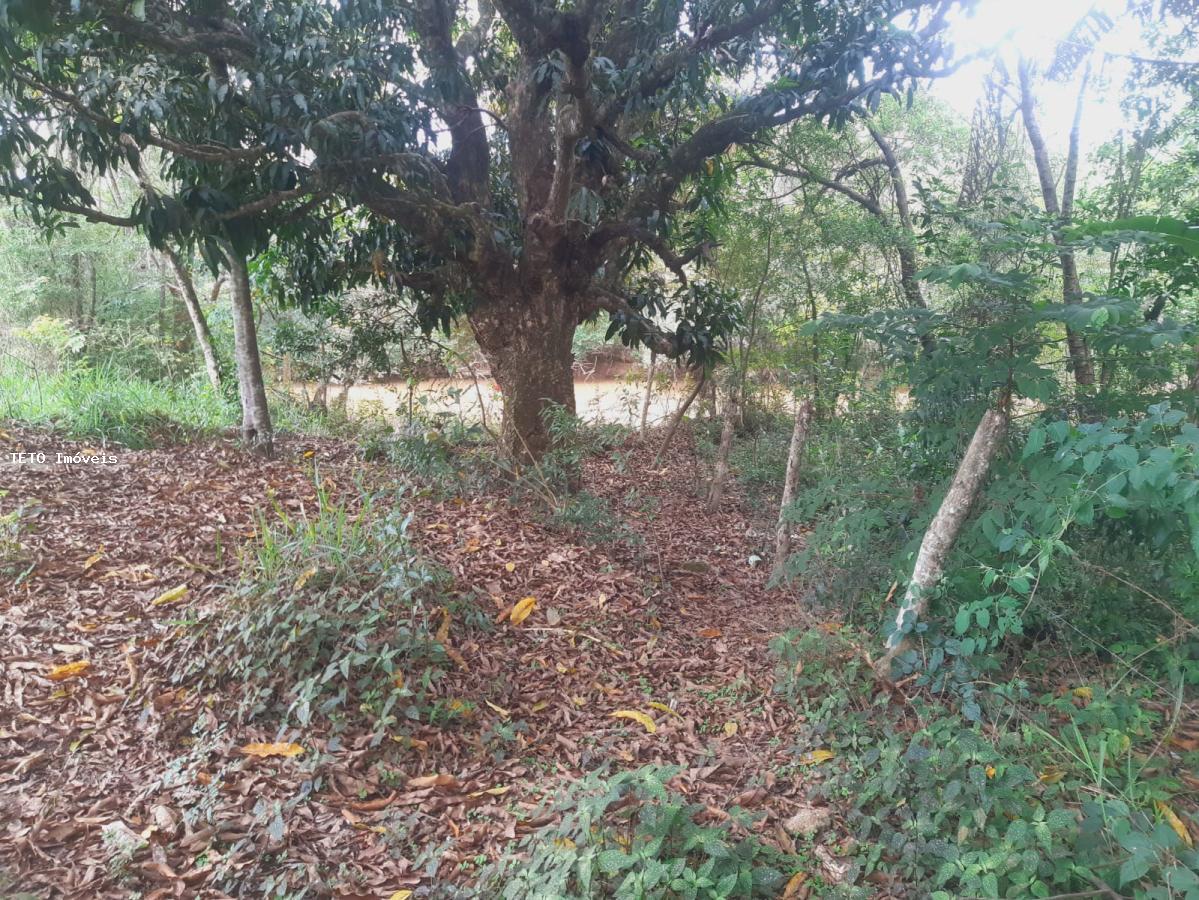 Sítio, 3 quartos, 2579 m² - Foto 9