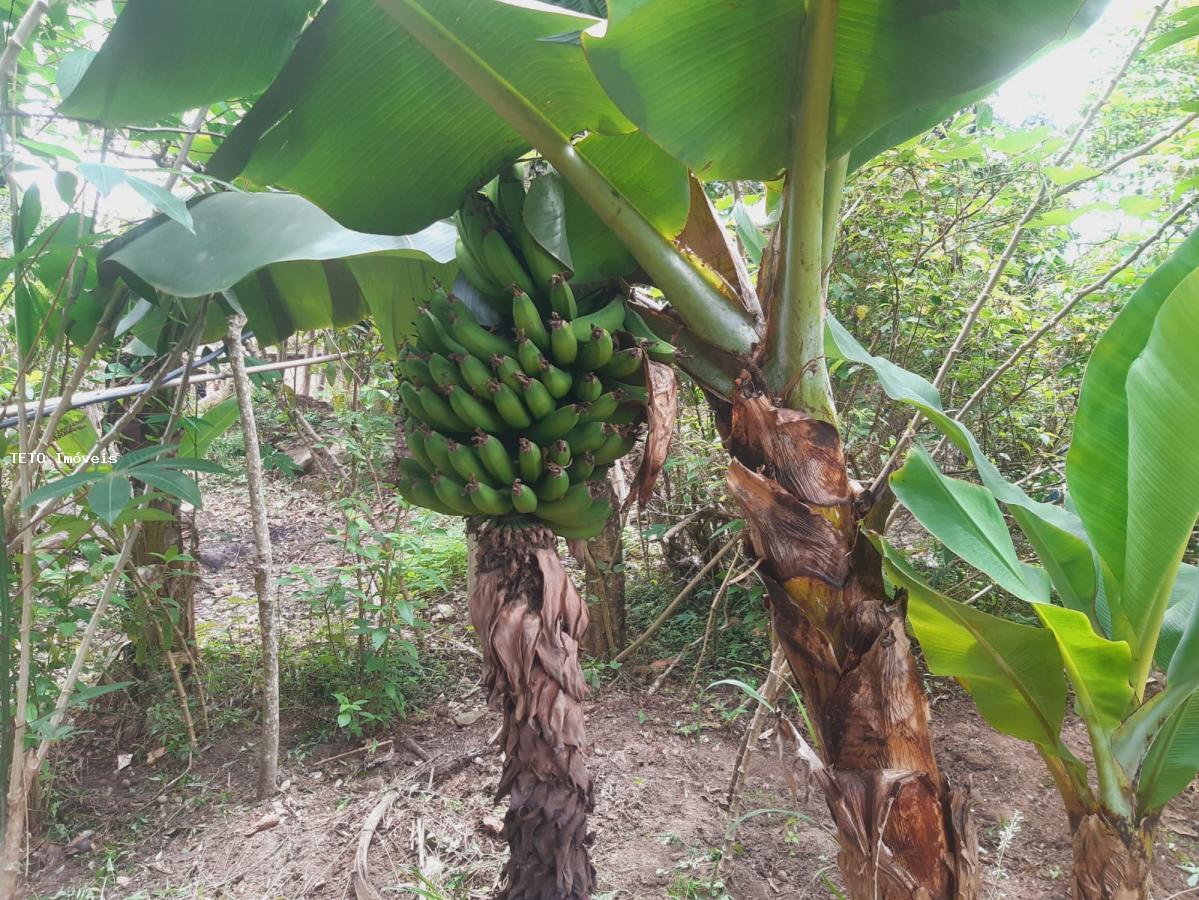 Sítio, 3 quartos, 2579 m² - Foto 10