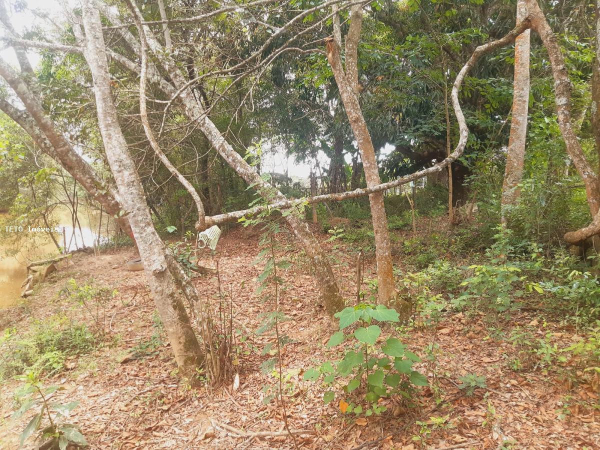 Sítio, 3 quartos, 2579 m² - Foto 11