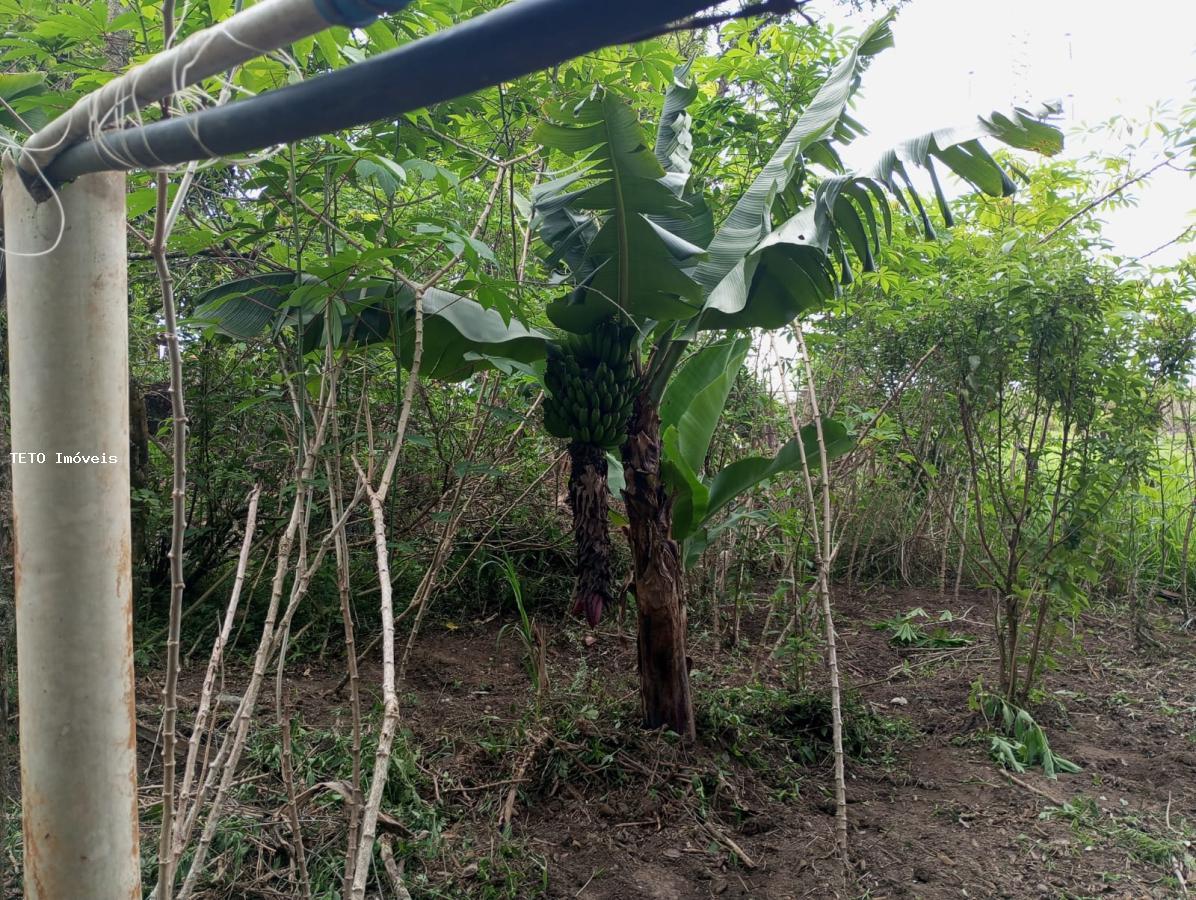 Sítio, 3 quartos, 2579 m² - Foto 15