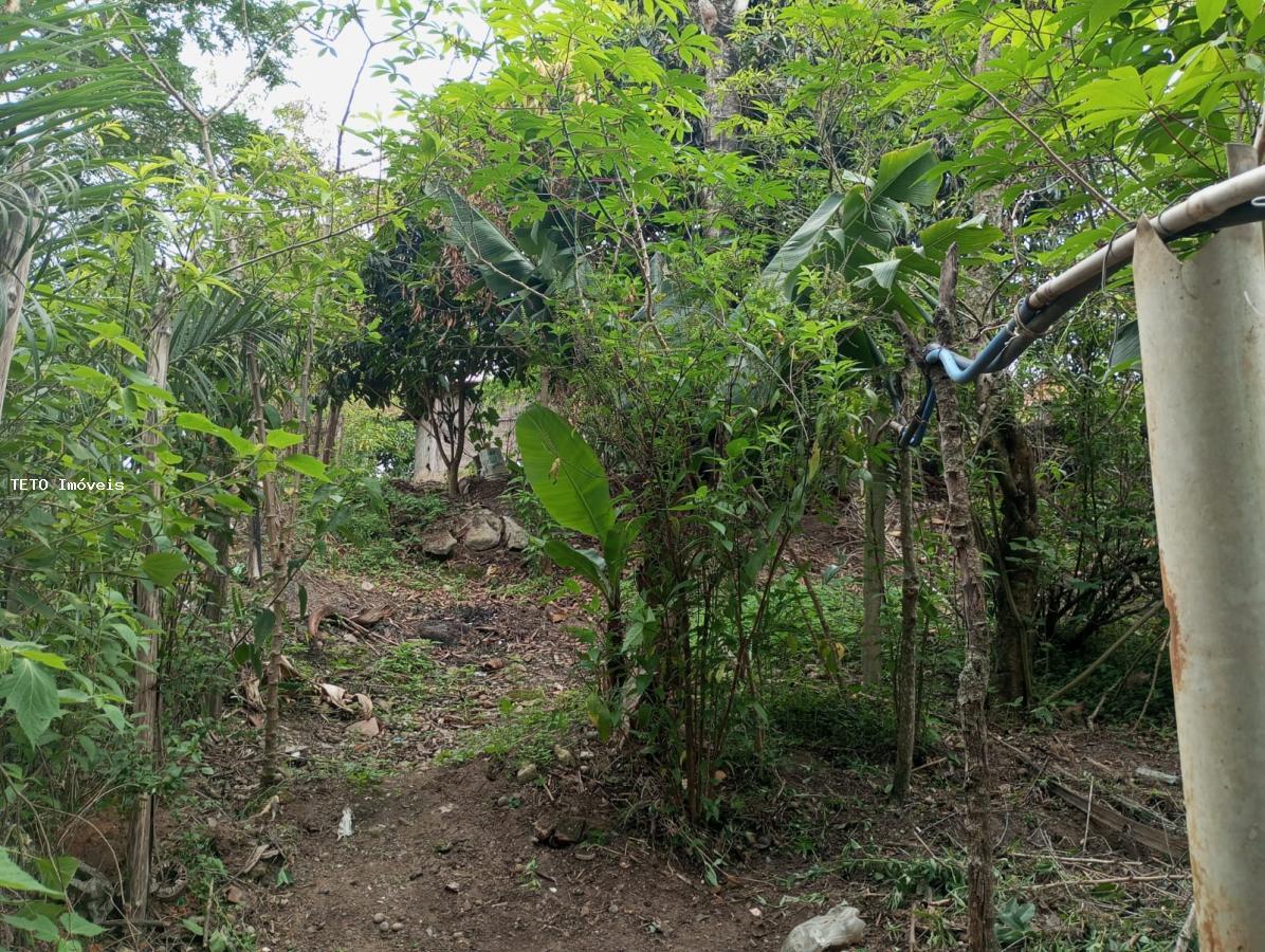 Sítio, 3 quartos, 2579 m² - Foto 17