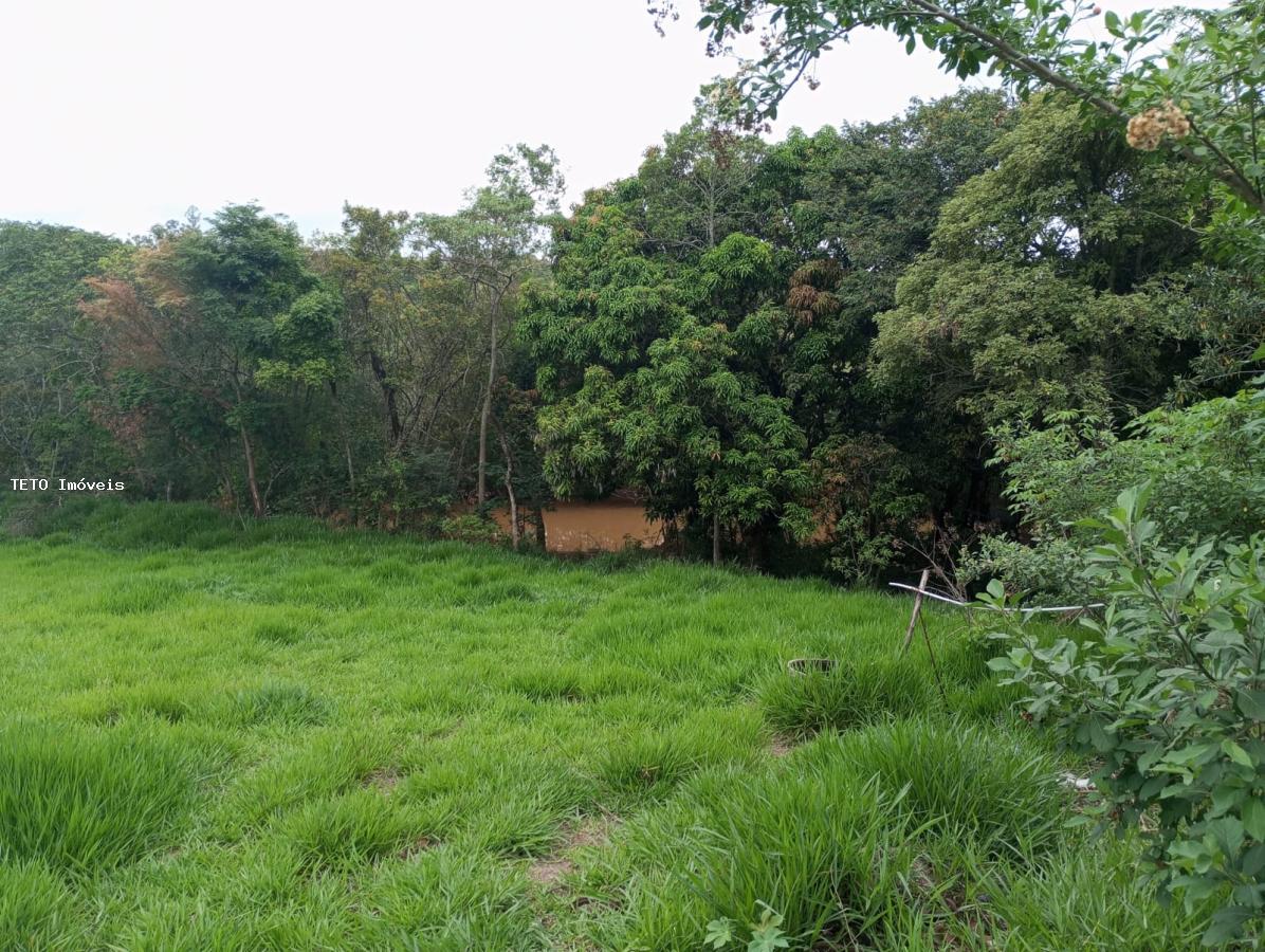 Sítio, 3 quartos, 2579 m² - Foto 18