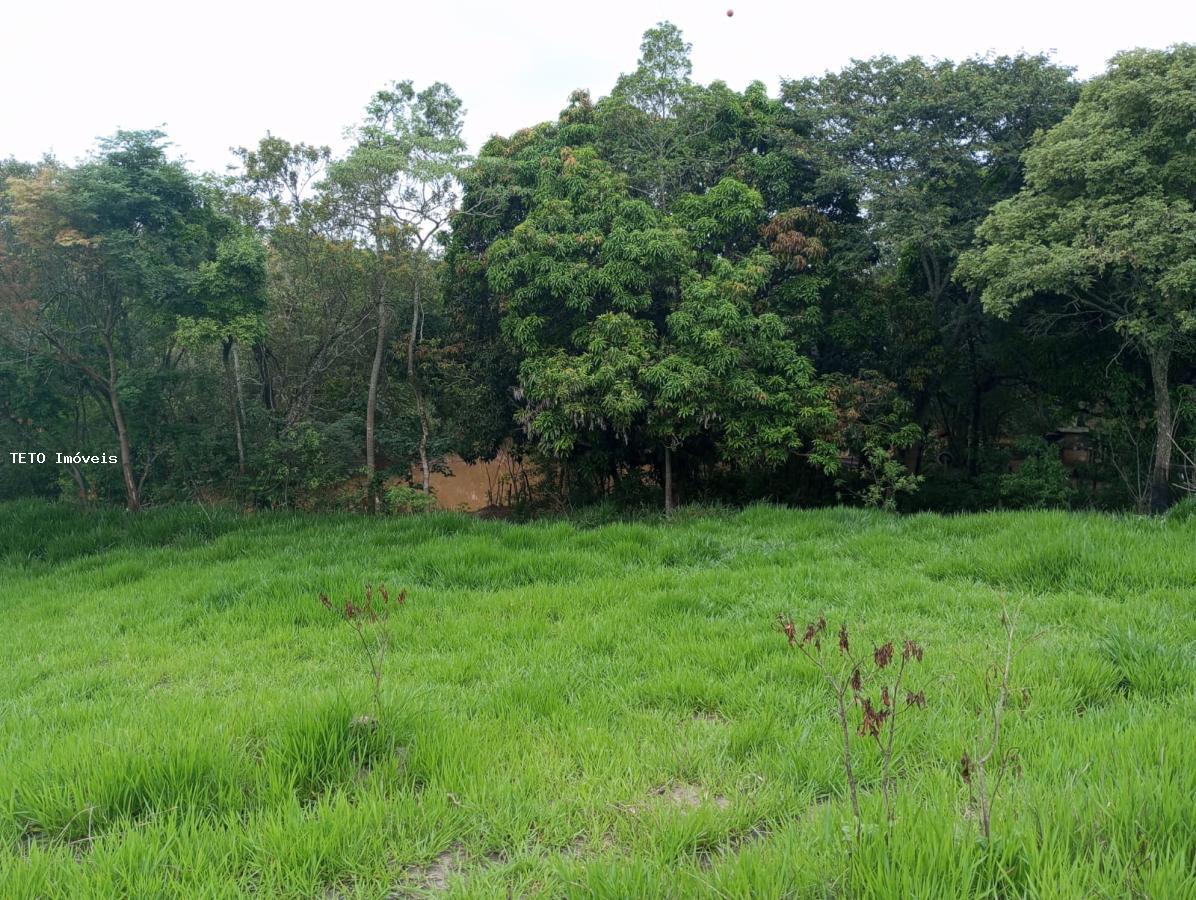 Sítio, 3 quartos, 2579 m² - Foto 19