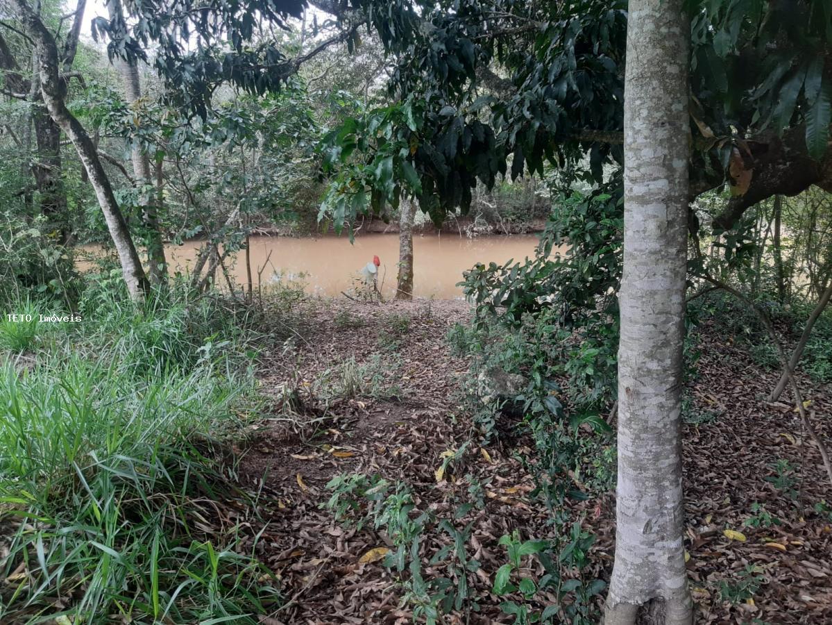 Sítio, 3 quartos, 2579 m² - Foto 22