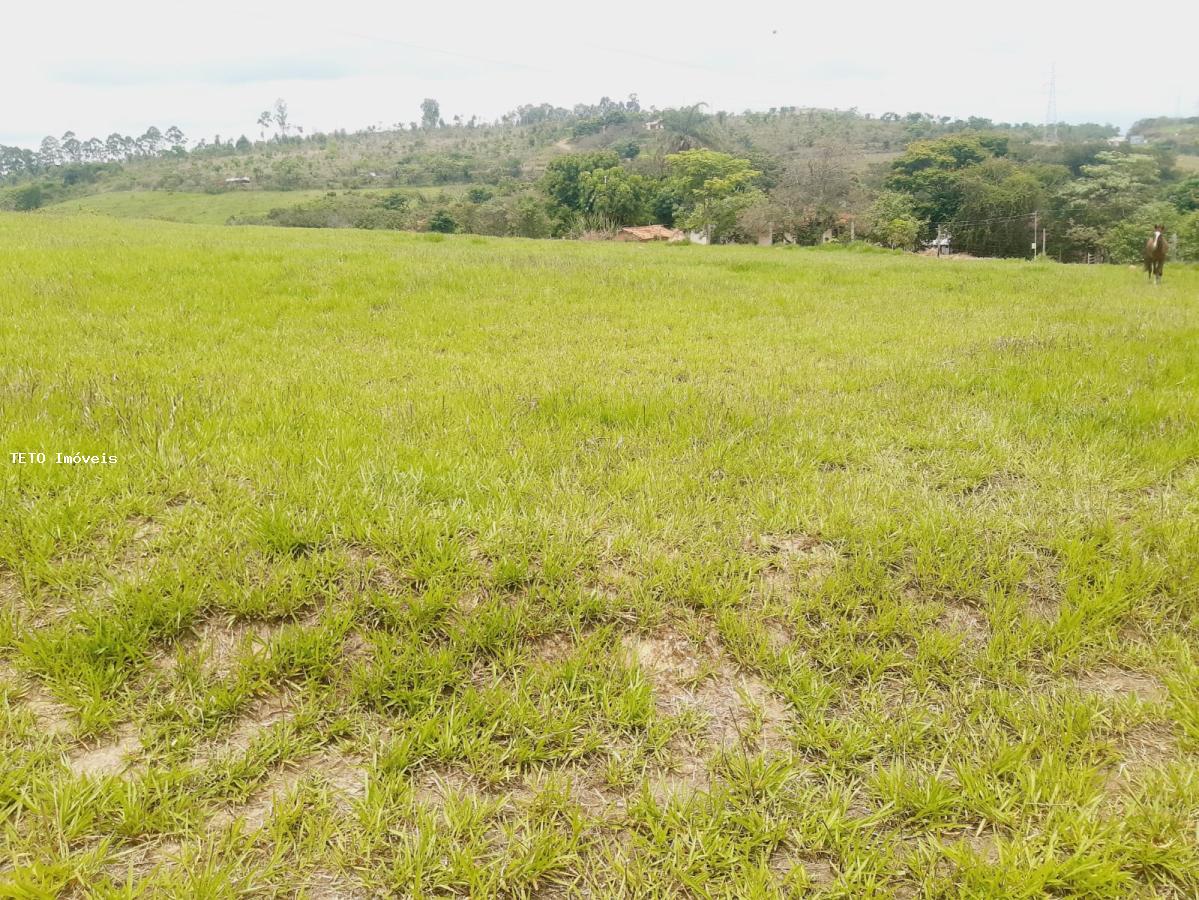 Terreno, 3200 m² - Foto 7