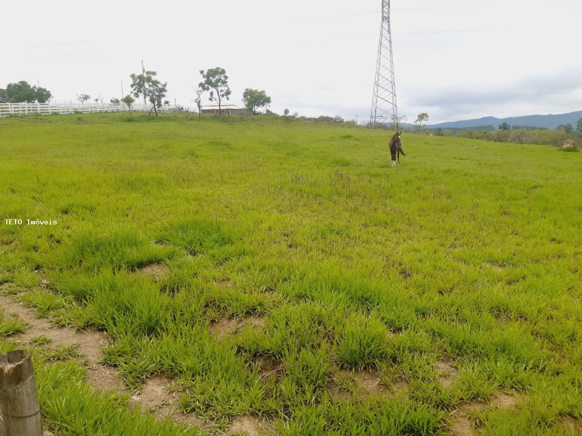 Terreno, 3200 m² - Foto 9