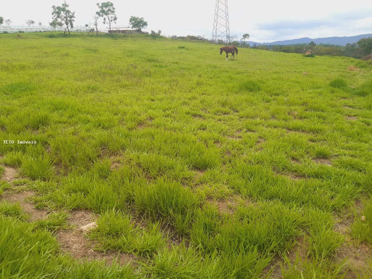 Terreno, 3200 m² - Foto 13