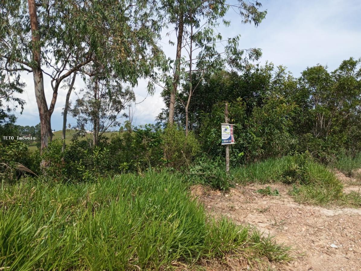 Terreno, 300 m² - Foto 5