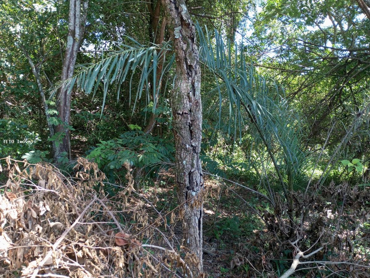 Terreno, 450 m² - Foto 11