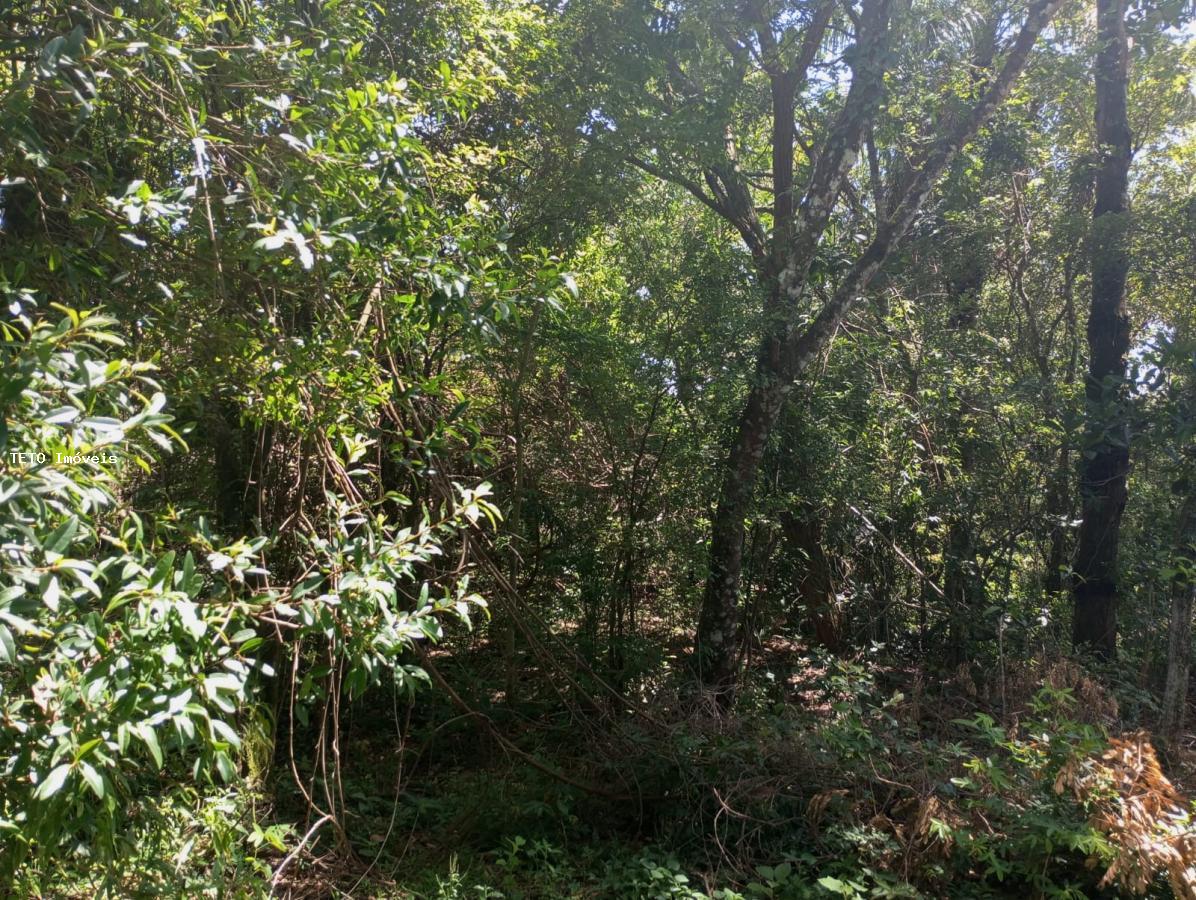 Terreno, 450 m² - Foto 13