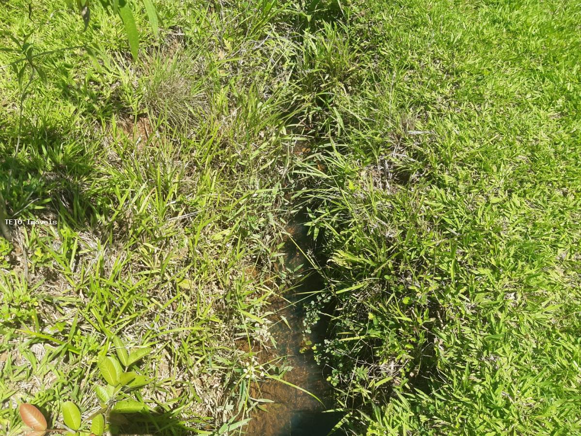 Sítio, 2 quartos, 4 m² - Foto 40