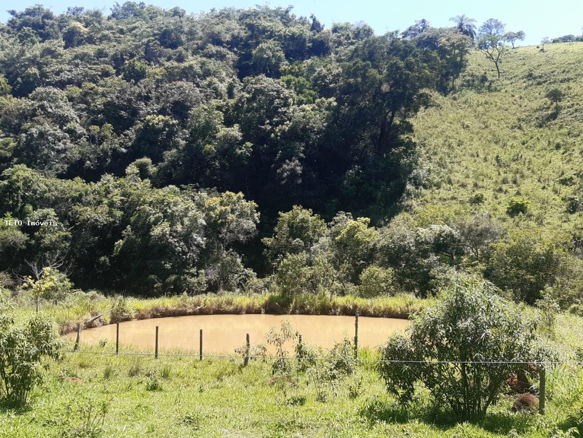 Sítio, 2 quartos, 4 m² - Foto 44