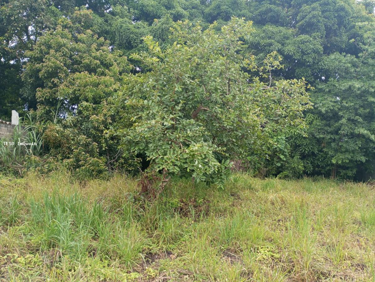 Terreno, 667 m² - Foto 5