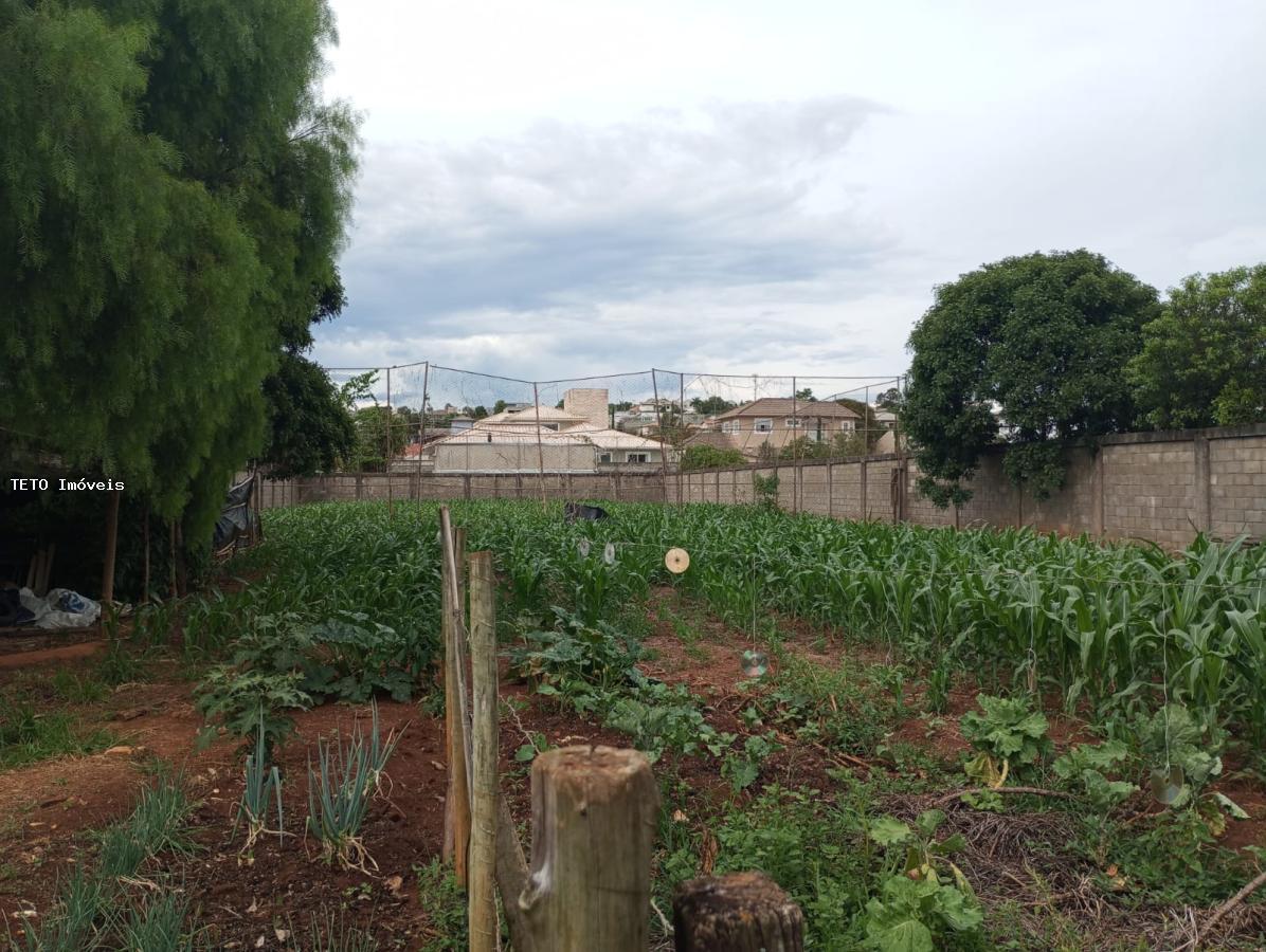 Terreno, 1477 m² - Foto 4