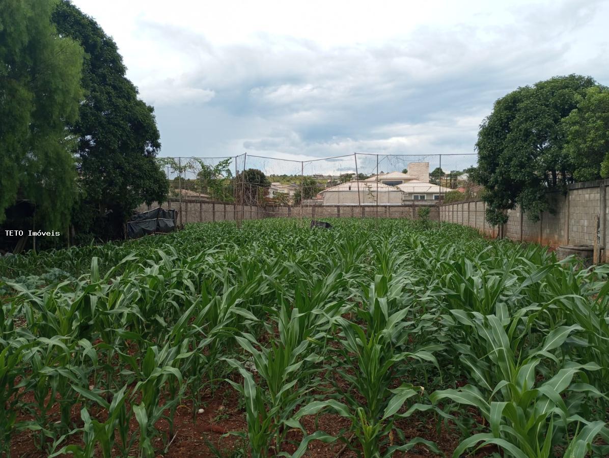 Terreno, 1477 m² - Foto 7