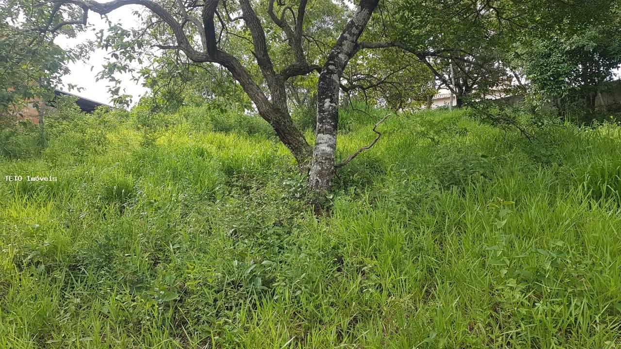 Terreno, 426 m² - Foto 3