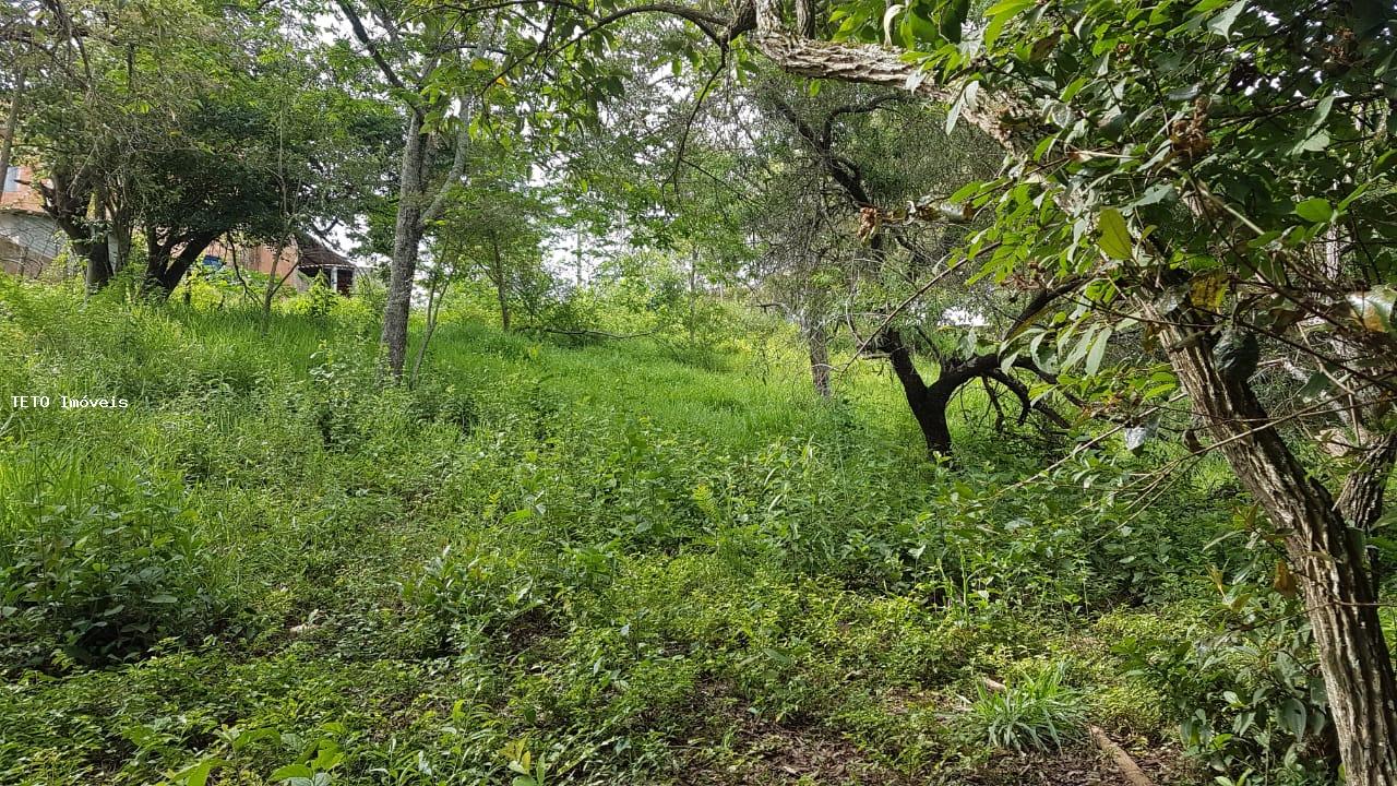 Terreno, 426 m² - Foto 6