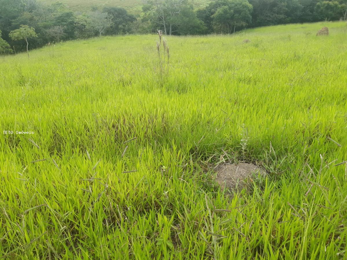 Sítio, 4 quartos, 36 m² - Foto 6