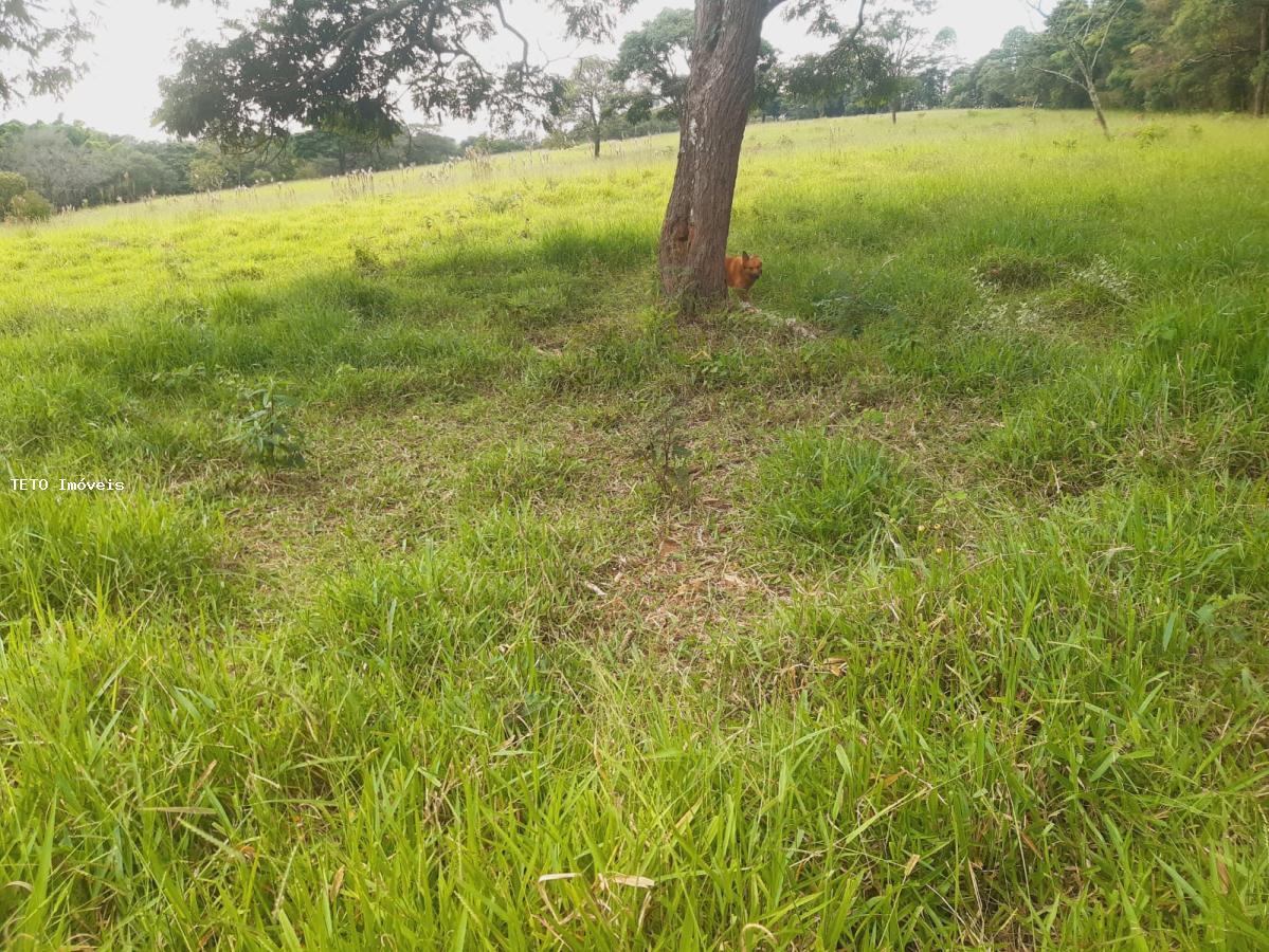 Sítio, 4 quartos, 36 m² - Foto 7