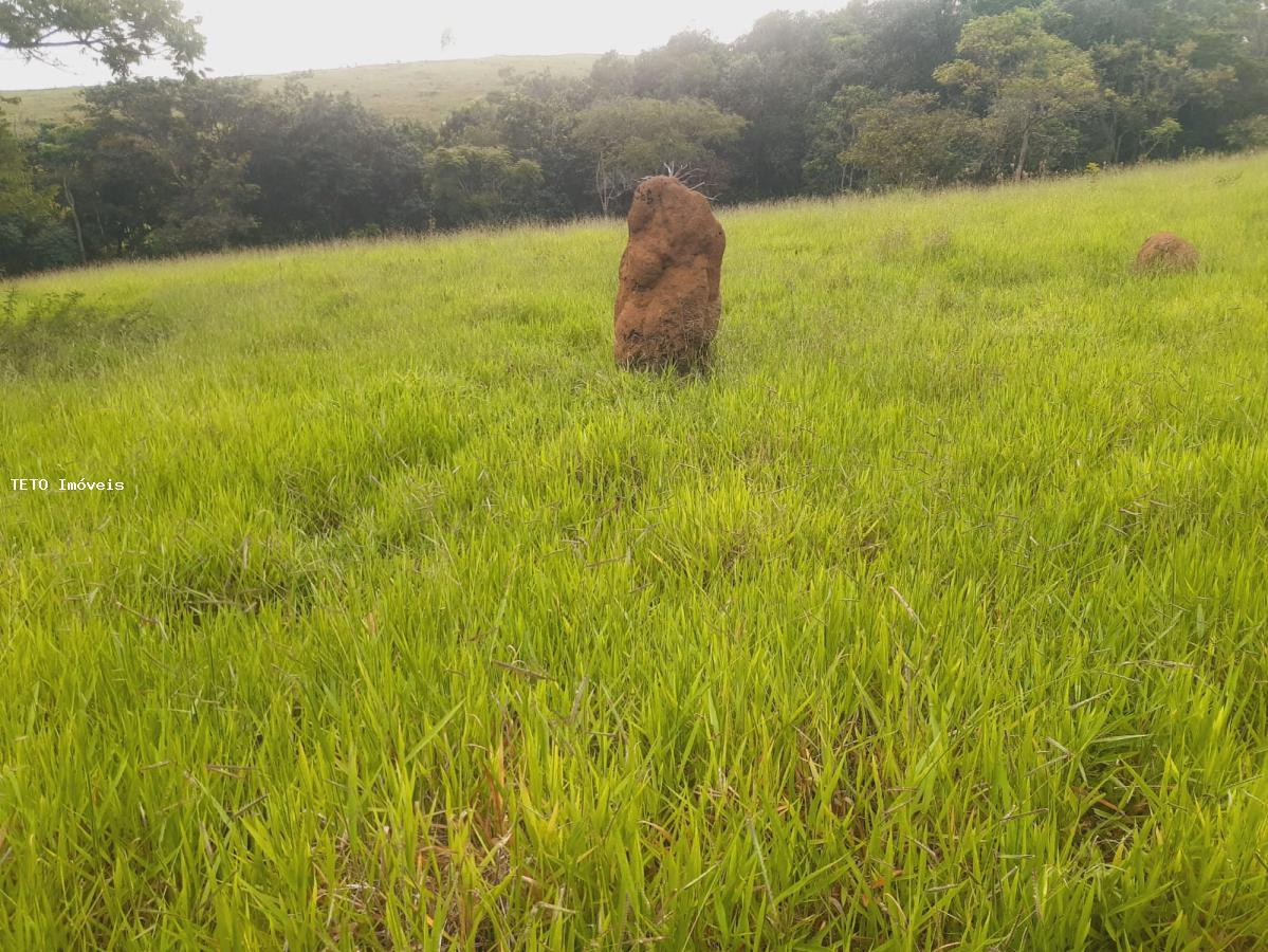 Sítio, 4 quartos, 36 m² - Foto 9