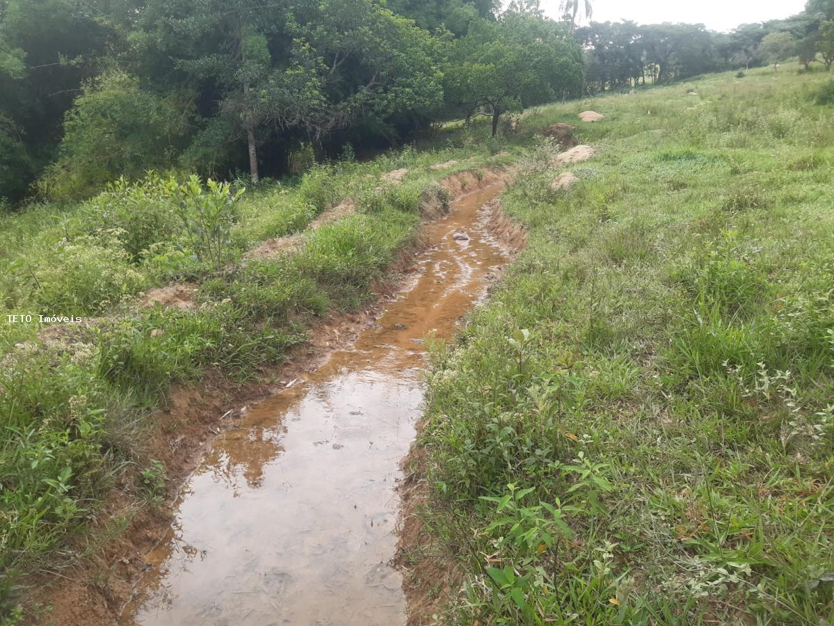 Sítio, 4 quartos, 36 m² - Foto 13