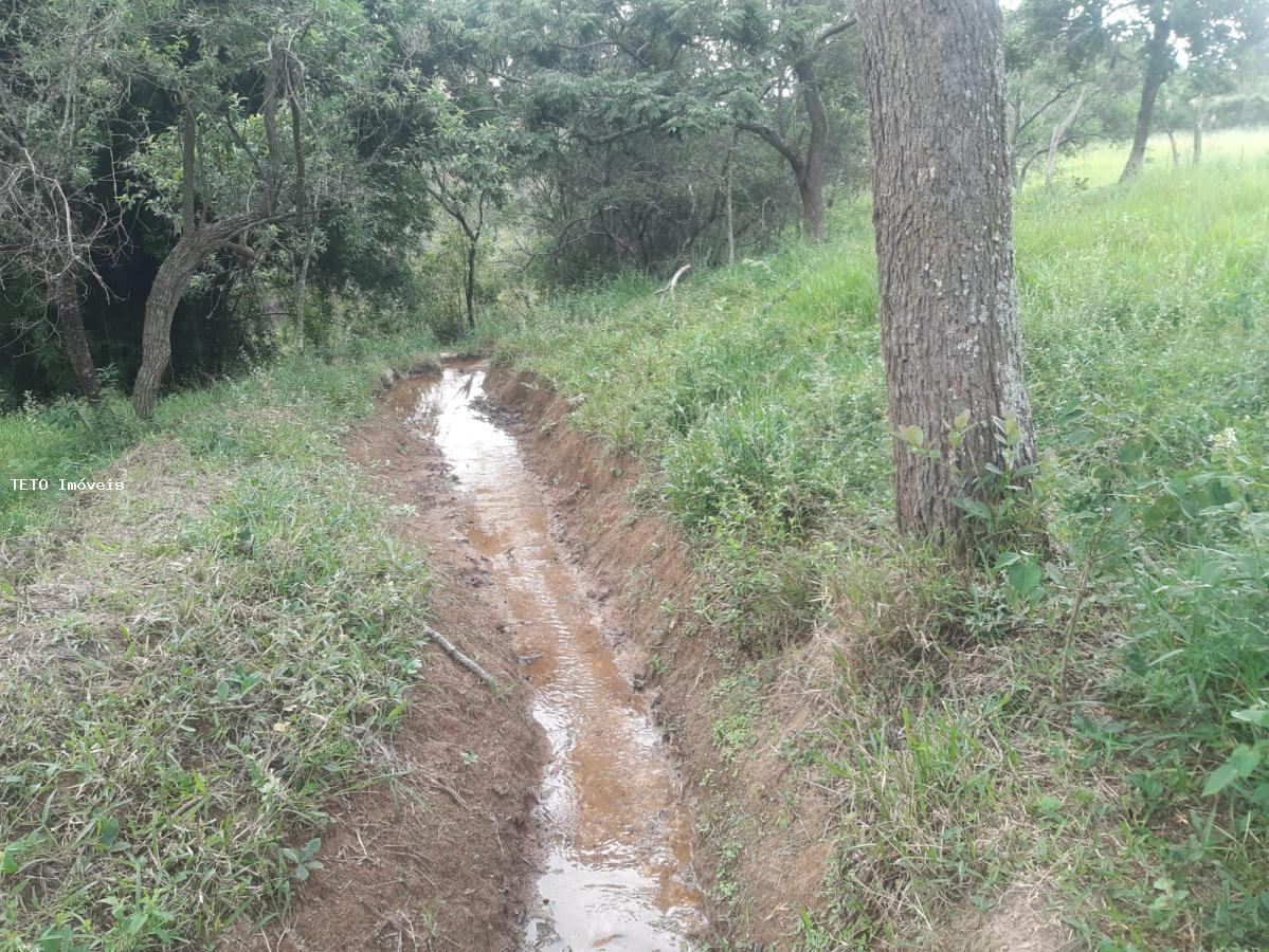 Sítio, 4 quartos, 36 m² - Foto 16