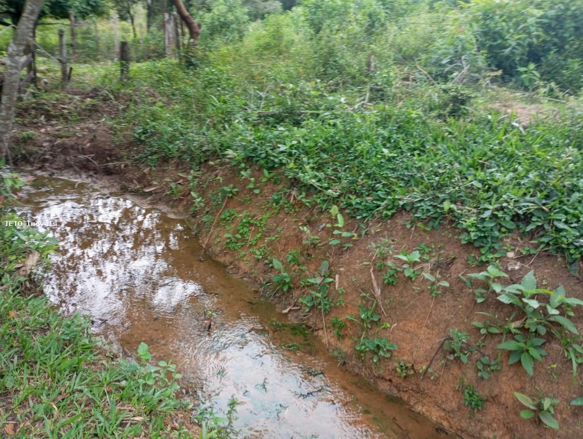 Sítio, 4 quartos, 36 m² - Foto 17