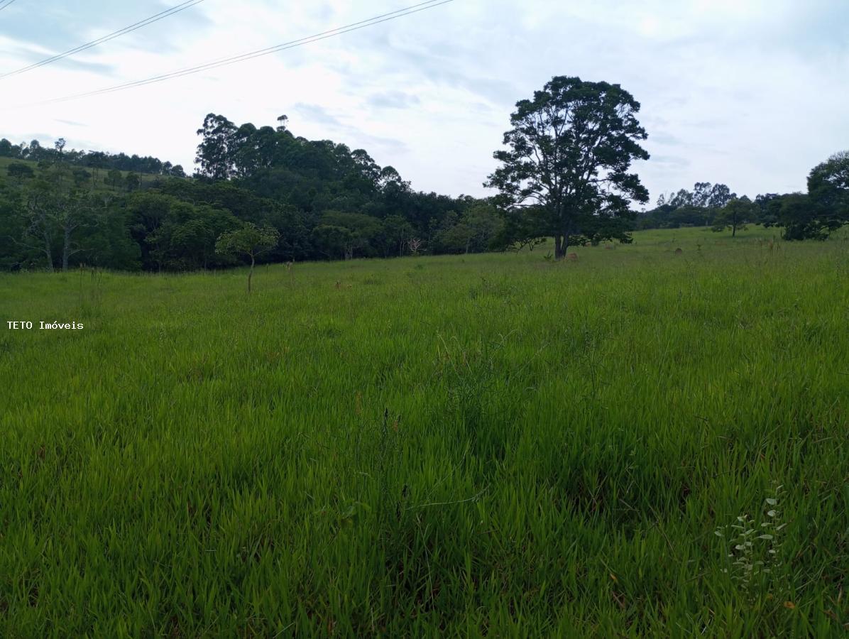 Sítio, 4 quartos, 36 m² - Foto 28