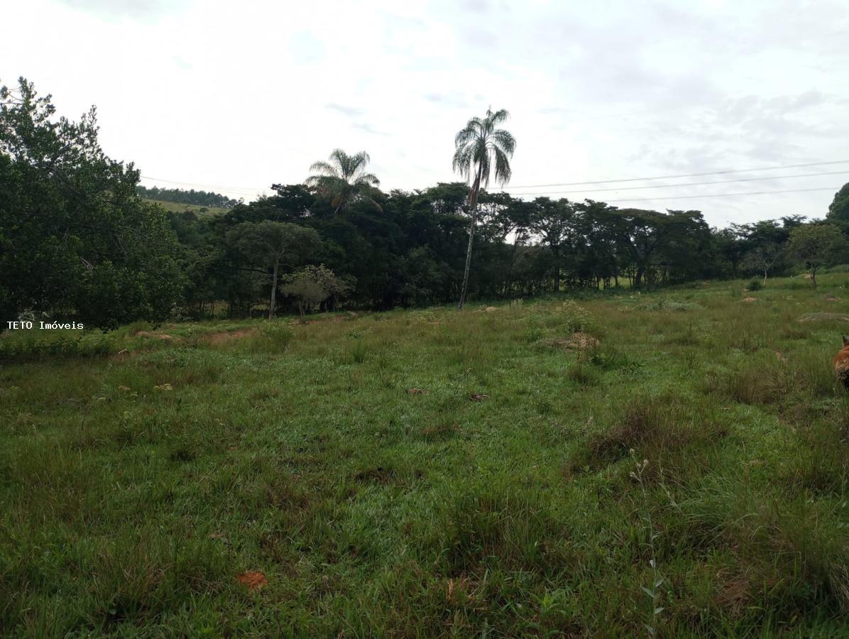 Sítio, 4 quartos, 36 m² - Foto 30