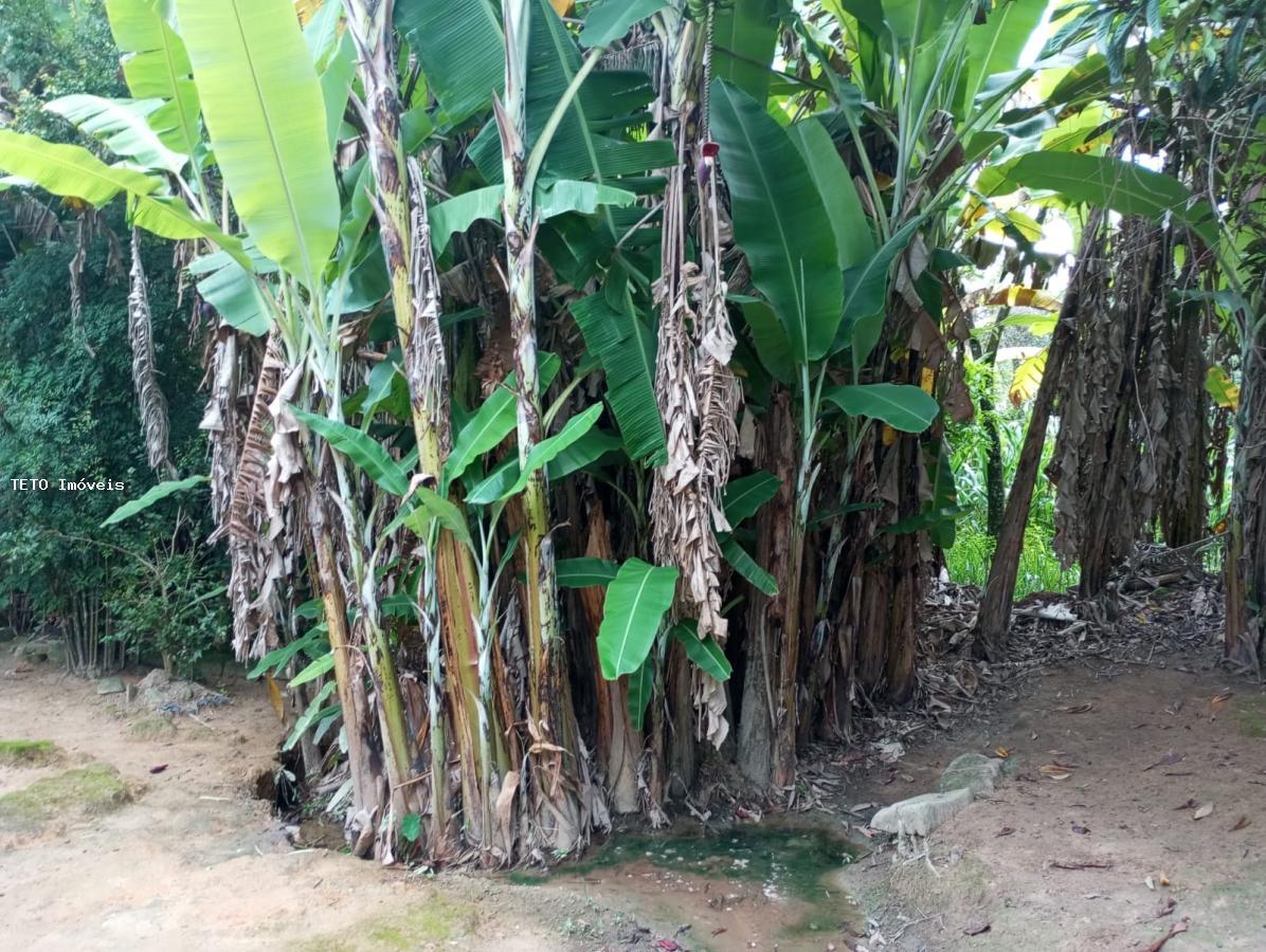 Sítio, 4 quartos, 36 m² - Foto 35