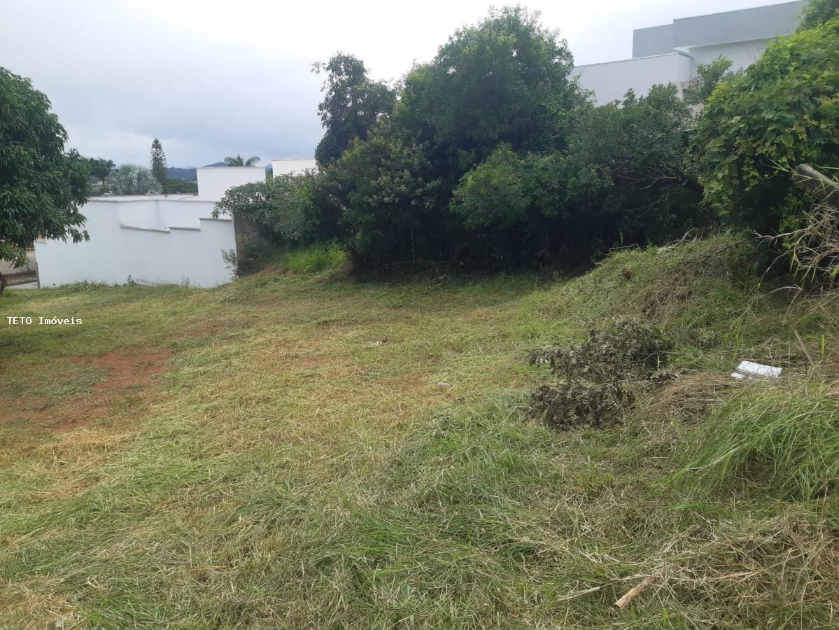 Terreno, 250 m² - Foto 6